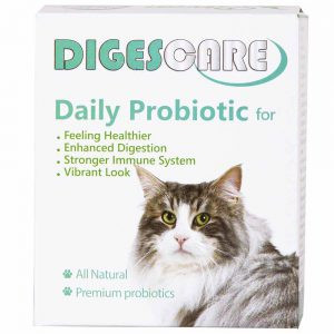 پودر پروبیوتیک دایجسکر