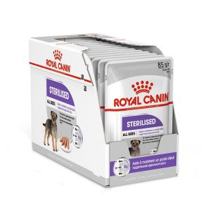 سوپ عقیم سگ