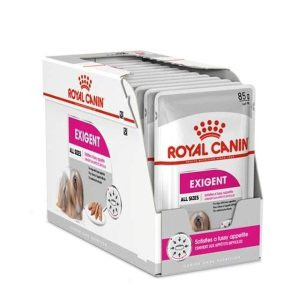 اگزیجنت رویال کنین