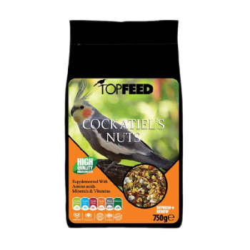 غذای آجیلی عروس هلندی