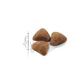 ایندور رویال کنین