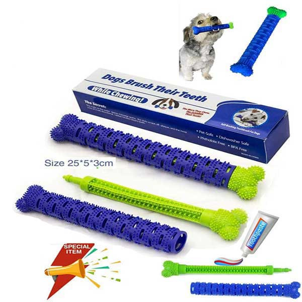 اسباب بازی و دندونی سگ