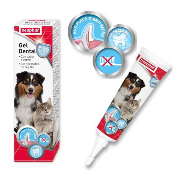 ژل دندان بیفار