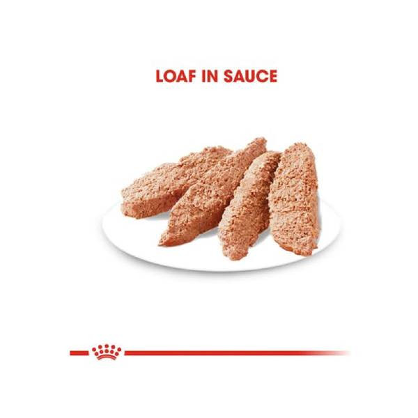 سوپ رویال کنین