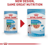 مینی پاپی رویال کنین