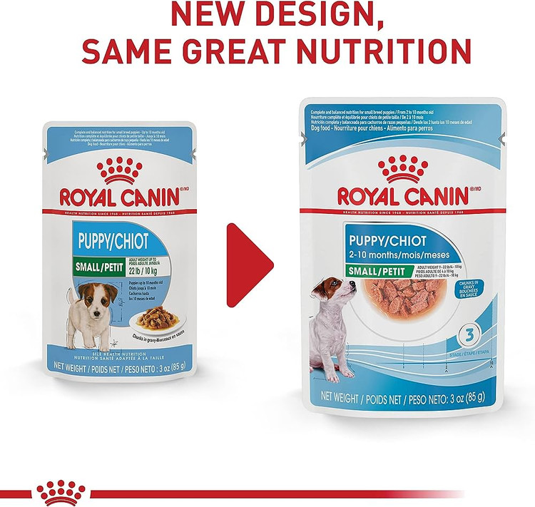 مینی پاپی رویال کنین