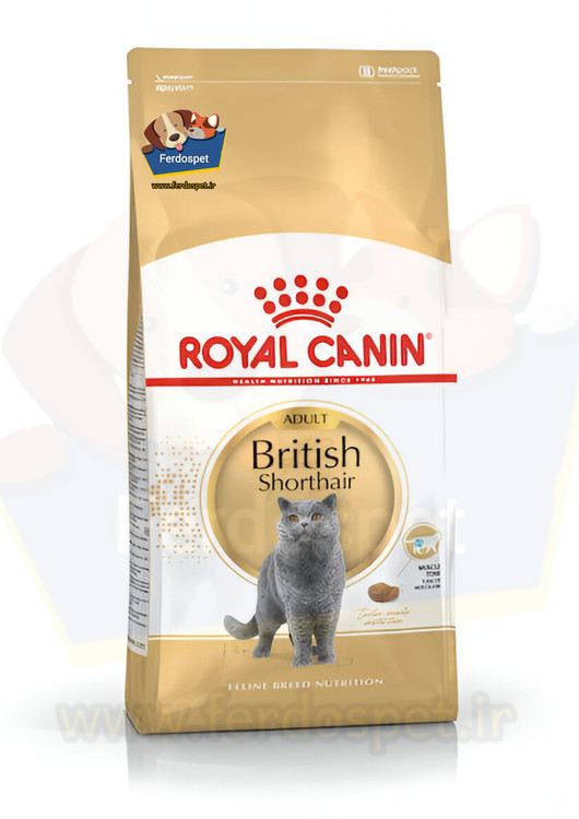 بسته غذای خشک گربه نژاد بریتیش شورت هیر برند رویال کنین ۲ کیلویی