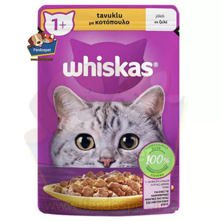 پوچ گربه ویسکاس مرغ در ژله