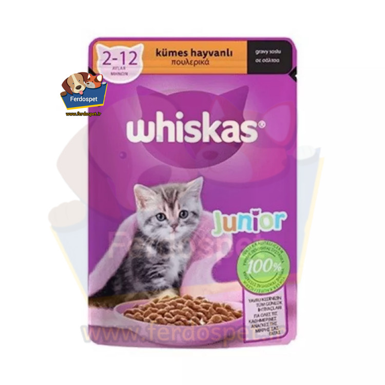 سوپ بچه گربه ویسکاس