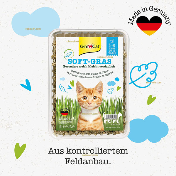 بذر علف گربه جیم کت ساده ۱۰۰ گرم