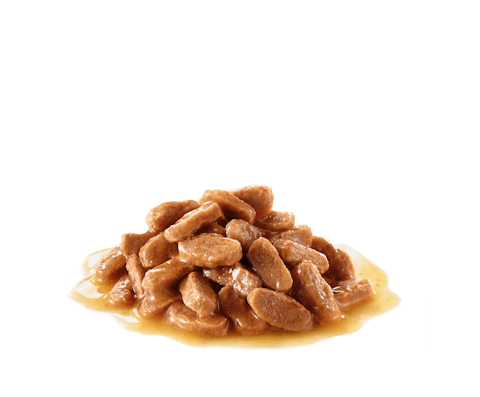 پوچ گربه خورشتی گوشت تکه ای رویال کنین