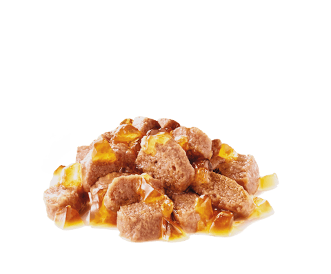 غذای درمانی ریزش مو گربه