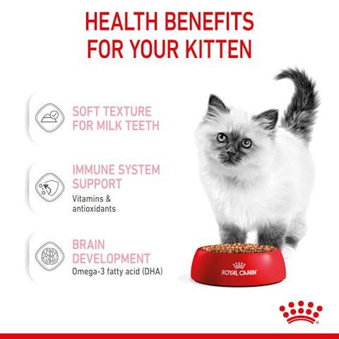 Wet food for cats