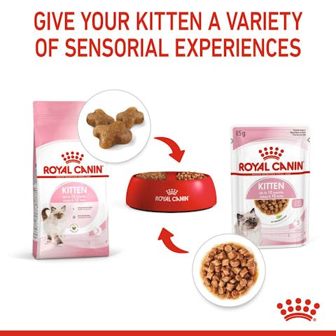 Dry food for cats