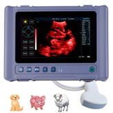 دستگاه سونوگرافی دامپزشکی اسب