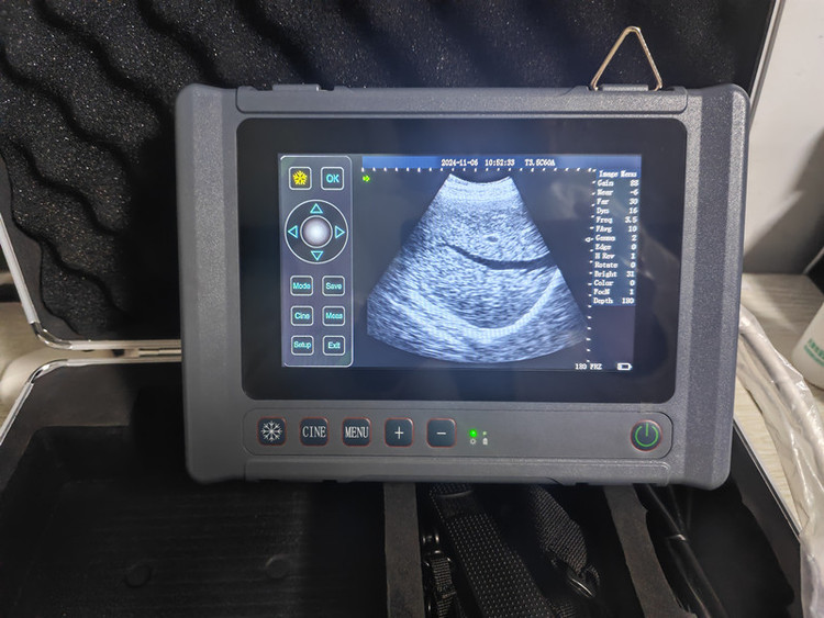 دستگاه سونوگرافی دامپزشکی HD