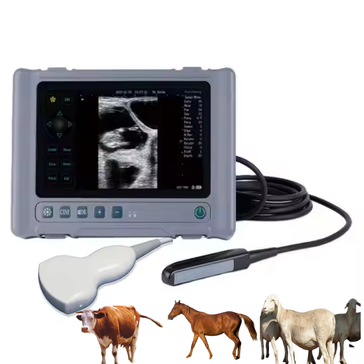سونوگرافی دامپزشکی