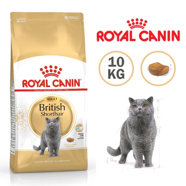 غذای خشک گربه بریتیش ادالت مو کوتاه رویال کنین
