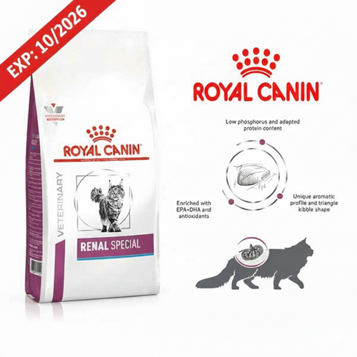 رنال اسپشیال