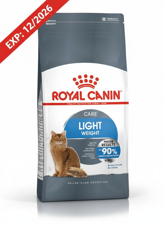 غذای رژیمی گربه